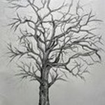 Ballpoint pen drawing of a tree with words