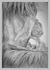 Biro pen Drawing of Orangutan and Baby