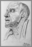 Drawing of the head of a greek philosopher from the British Museum