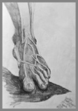 Graphite sketch of statues foot from British Museum