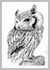Scops Owl drawing in biro pen